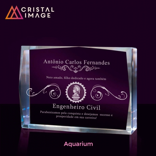 escultura de cristal, placa de cristal - Aquarium
